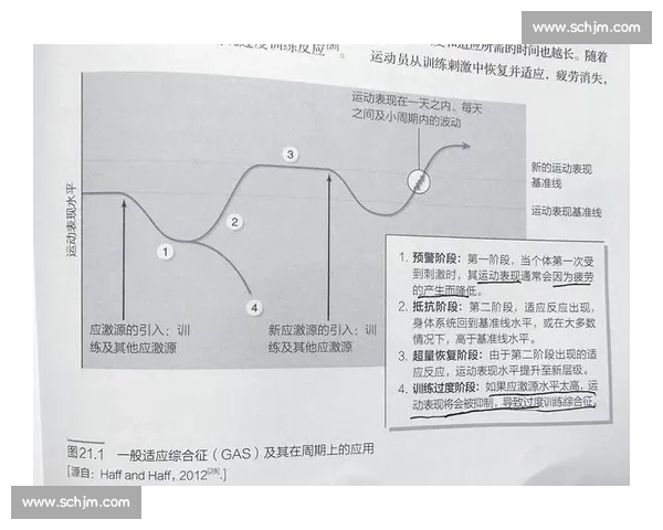 全面提升运动表现的科学体育技能训练方法与技巧分析