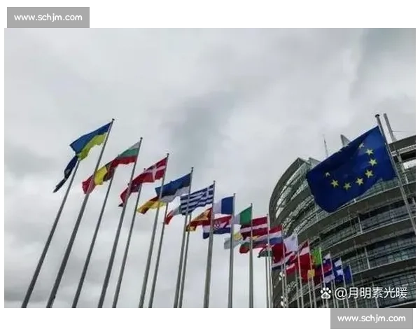 比赛弃权规则与影响分析：如何避免因弃权造成的不利后果